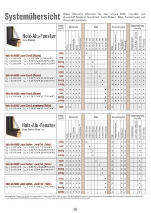 Systemübersicht Fenster